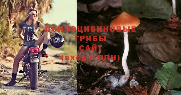 jwh Алексеевка