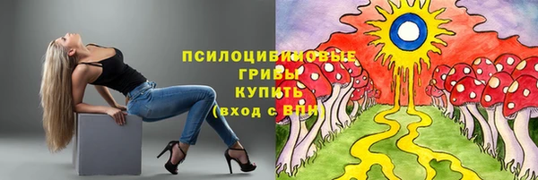 apvp Алексин