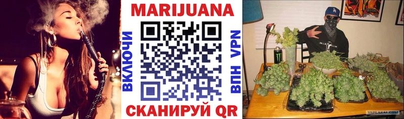 Шишки марихуана гибрид Заполярный
